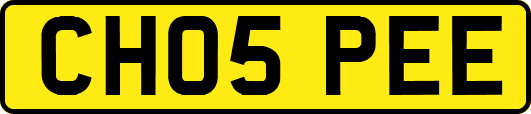 CH05PEE