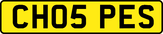 CH05PES