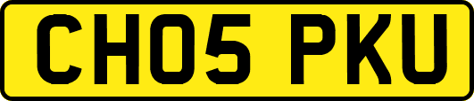 CH05PKU