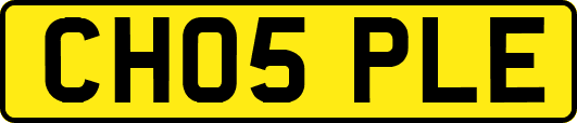 CH05PLE
