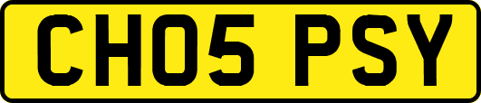 CH05PSY
