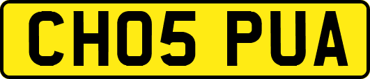 CH05PUA