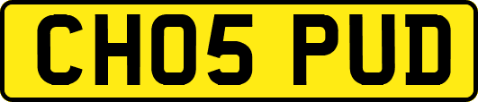 CH05PUD