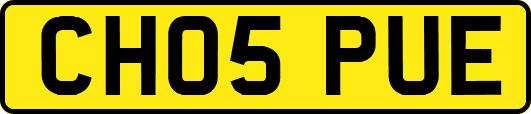 CH05PUE