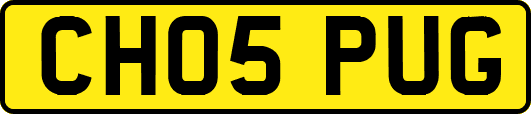 CH05PUG