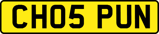 CH05PUN