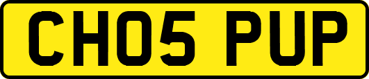 CH05PUP