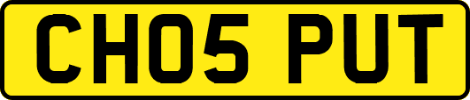 CH05PUT