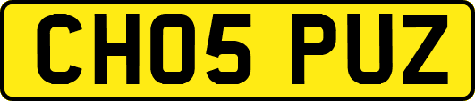 CH05PUZ