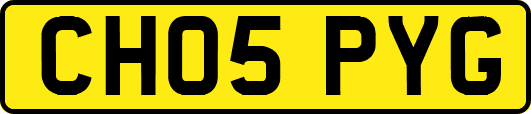 CH05PYG