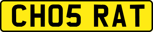 CH05RAT
