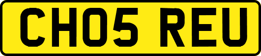 CH05REU