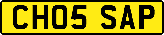 CH05SAP