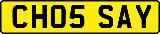 CH05SAY