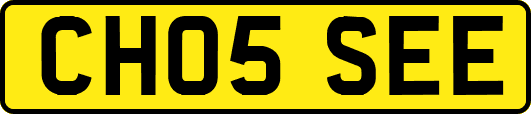CH05SEE