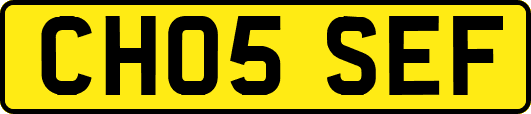 CH05SEF