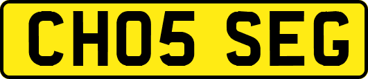 CH05SEG