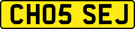 CH05SEJ