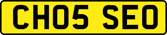 CH05SEO