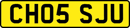 CH05SJU