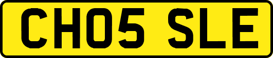CH05SLE