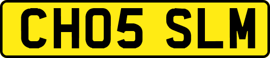CH05SLM