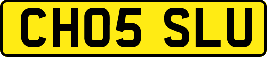 CH05SLU