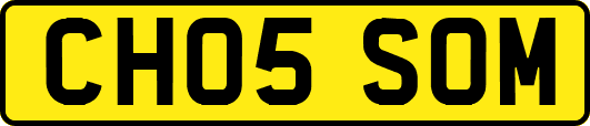 CH05SOM