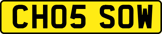 CH05SOW