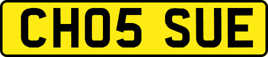 CH05SUE