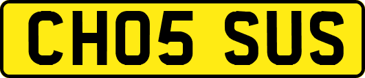 CH05SUS