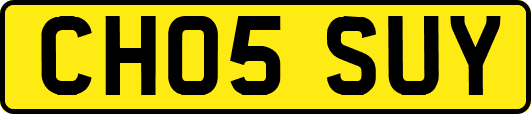 CH05SUY