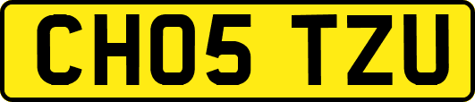 CH05TZU