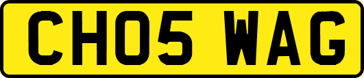 CH05WAG