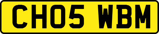 CH05WBM