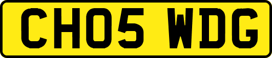 CH05WDG