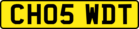 CH05WDT