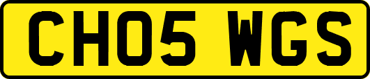 CH05WGS