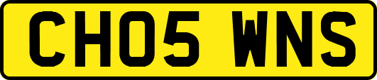 CH05WNS