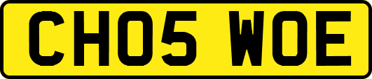 CH05WOE