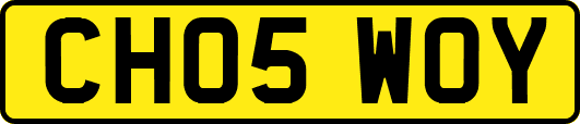 CH05WOY