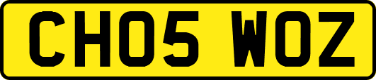 CH05WOZ