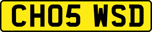 CH05WSD