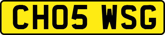 CH05WSG