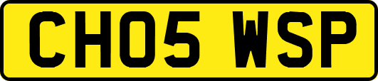 CH05WSP