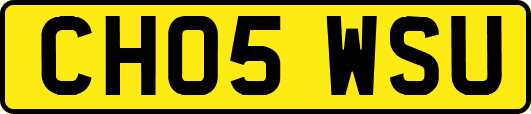 CH05WSU
