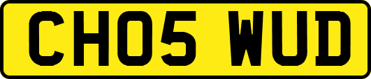 CH05WUD