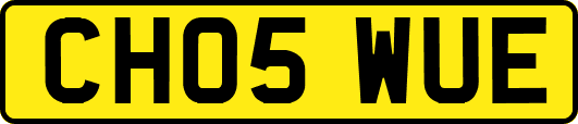 CH05WUE