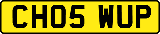 CH05WUP