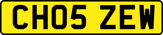 CH05ZEW